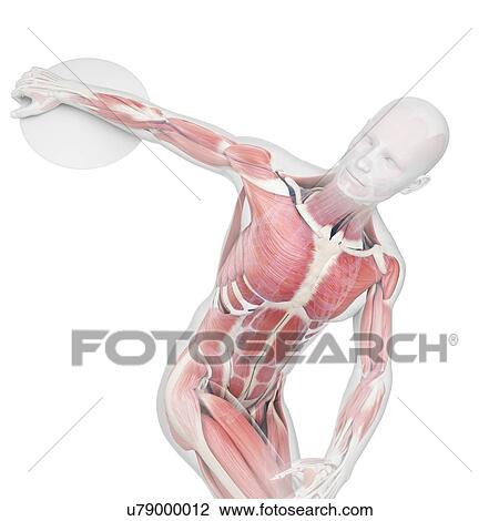 Stock Image - Athlete throwing discus, illustration. Fotosearch