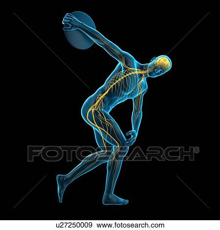 Athlete throwing discus, illustration View Large Photo Image Stock Photo - Athlete throwing discus, illustration. Fotosearch