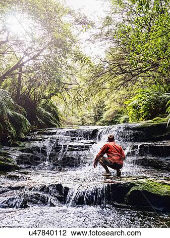 Stock Image - Australia, New South Wales, Katoomba, Man wading in Leura Cascade. Fotosearch