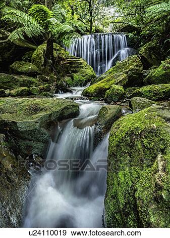 Stock Photo - Australia, New South Wales, Katoomba, Leura Cascade in forest. Fotosearch
