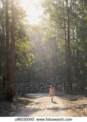 Australia, New South Wales, Port Macquarie, Rear view of mature woman walking along dirt road in forest View Large Photo Image Stock Image - Australia, New South Wales, Port Macquarie, Rear view of mature woman walking along dirt road in forest. Fotosearch