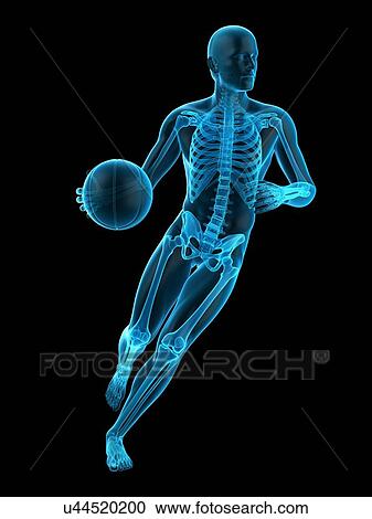 Basketball player, illustration View Large Photo Image Stock Image - Basketball player, illustration. Fotosearch