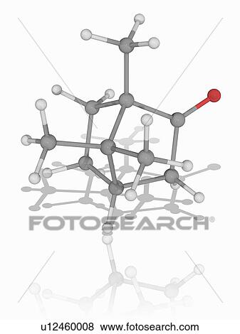 Stock Photo - Camphor organic compound molecule. Fotosearch