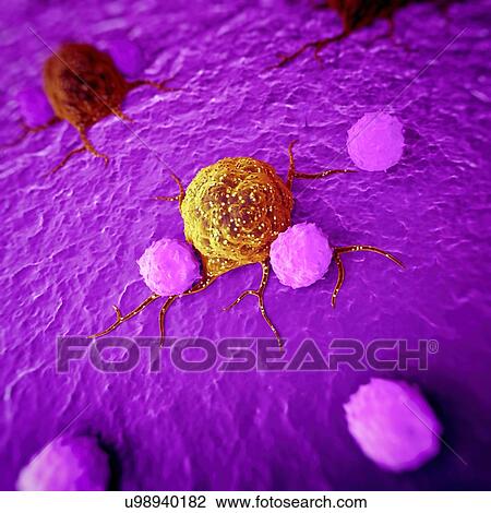 Cancer cells, illustration View Large Photo Image Stock Image - Cancer cells, illustration. Fotosearch