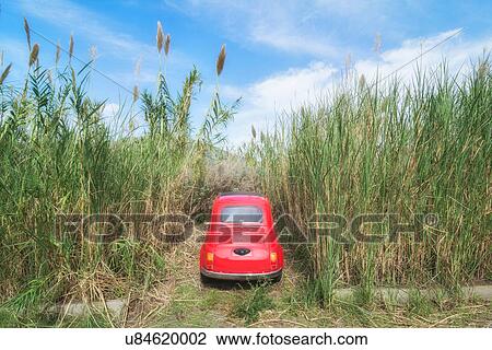 Car parked among long grass, Lipari, Aeolian Islands, Sicily, Italy View Large Photo Image Stock Image - Car parked among long grass, Lipari, Aeolian Islands, Sicily, Italy. Fotosearch