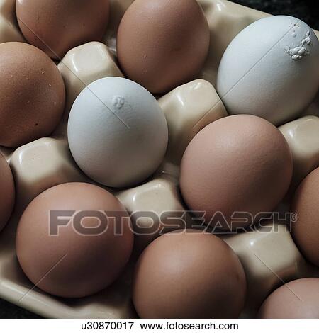 Stock Photo - Chicken eggs in carton. Fotosearch