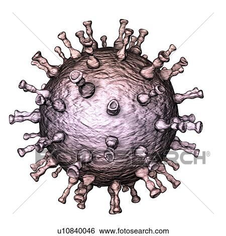 Stock Photograph - Chickenpox virus, illustration. Fotosearch