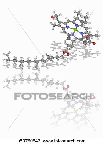 Chlorophyll B organic compound molecule View Large Photo Image Stock Image - Chlorophyll B organic compound molecule. Fotosearch
