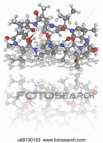 Stock Image - Ciclosporin (cyclosporine) drug molecule. Fotosearch