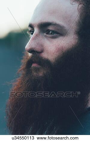 Close up portrait of gazing, bearded young male hipster View Large Photo Image Stock Image - Close up portrait of gazing, bearded young male hipster. Fotosearch