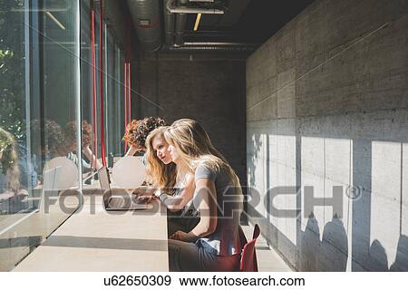 Stock Photo - Co-workers working on laptop beside bar counter by window. Fotosearch