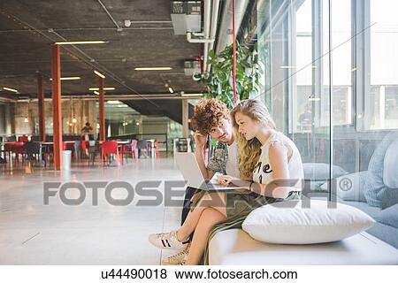 Stock Photo - Co-workers working on laptop on sofa by window. Fotosearch