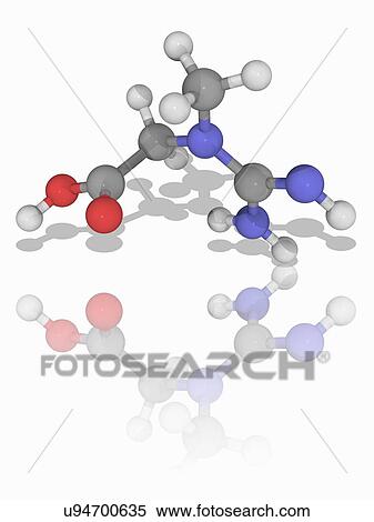 Stock Photography - Creatine organic compound molecule. Fotosearch