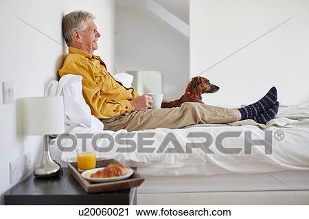 Stock Image - Dog enjoying breakfast in bed with owner. Fotosearch