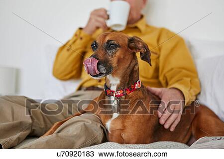 Stock Image - Dog relaxing with owner. Fotosearch