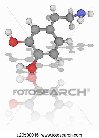 Dopamine organic compound molecule View Large Photo Image Stock Photograph - Dopamine organic compound molecule. Fotosearch