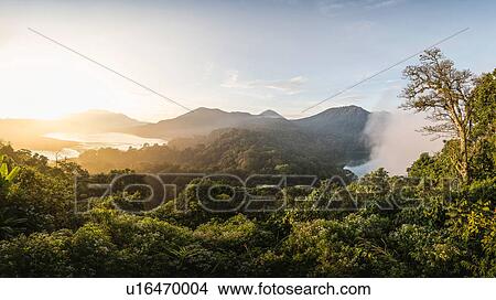 Picture - Elevated view of coast and rainforest at sunset, Wana Giri, Bali, Indonesia. Fotosearch