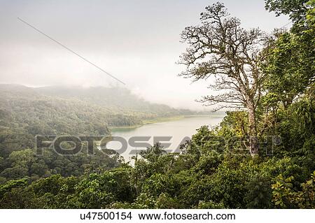 Picture - Elevated view of rainforest mist and sea, Wana Giri, Bali, Indonesia. Fotosearch