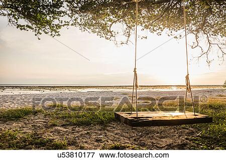 Stock Photo - Empty beach tree swing at sunset, Gili Trawangan, Lombok, Indonesia. Fotosearch
