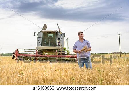 Stock Photograph - Farmer holding sheaf of organic barley in field. Fotosearch