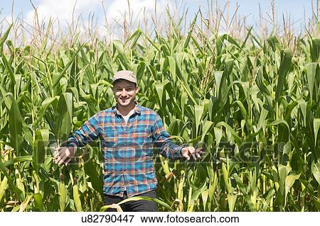 Stock Photo - Farmer in corn field looking at camera smiling. Fotosearch