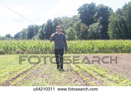 Stock Image - Farmer in field carrying spade on shoulder. Fotosearch