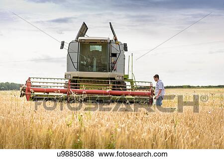Stock Photo - Farmer inspecting combine harvester in field of organic barley. Fotosearch