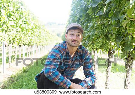 Farmer quality checking plant crop View Large Photo Image Stock Photo - Farmer quality checking plant crop. Fotosearch
