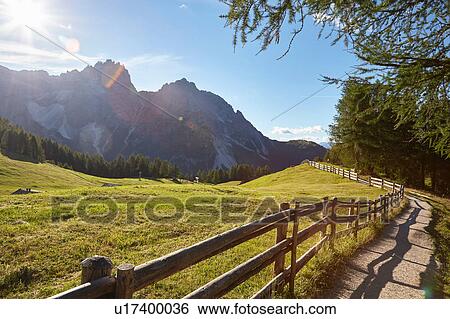 Stock Photograph - Field and sunlit Dolomites, Sexten, South Tyrol, Italy. Fotosearch