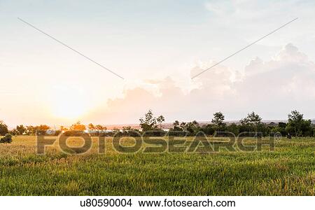 Picture - Field landscape at sunset, Lombok, Indonesia. Fotosearch