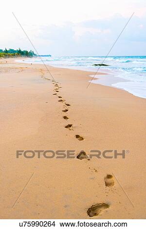 Picture - Footprints on beach, Colombo, Sri Lanka. Fotosearch