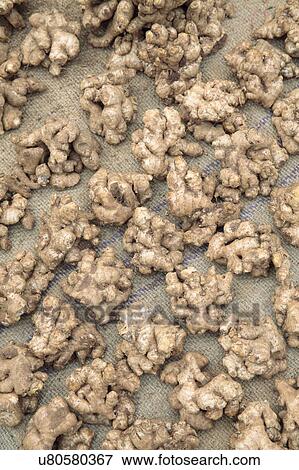 Stock Photo - Fresh ginger in market. Fotosearch