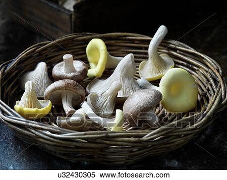Stock Photography - Fresh organic exotic mushroom selection. Fotosearch