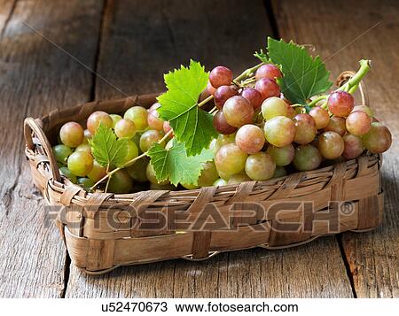 Fresh organic fruit, mango grapes View Large Photo Image Stock Image - Fresh organic fruit, mango grapes. Fotosearch