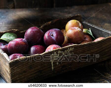 Fresh organic fruit, plums and apples View Large Photo Image Stock Image - Fresh organic fruit, plums and apples. Fotosearch