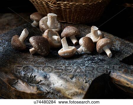 Picture - Fresh organic shitake mushrooms. Fotosearch