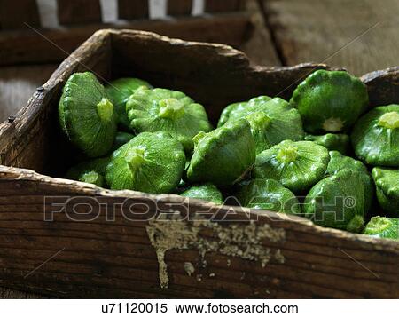Stock Photography - Fresh organic vegetable, green pattypan squash. Fotosearch