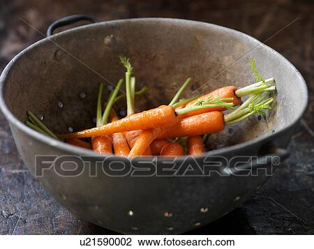 Fresh organic vegetables, baby carrots in metal colander View Large Photo Image Stock Image - Fresh organic vegetables, baby carrots in metal colander. Fotosearch