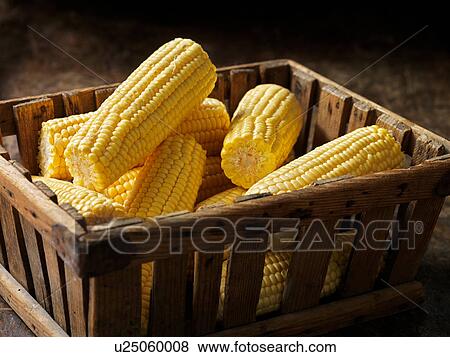 Stock Photo - Fresh organic vegetables, tender sweet sweetcorn. Fotosearch