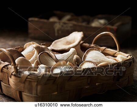 Stock Image - Fresh oyster mushrooms in basket. Fotosearch