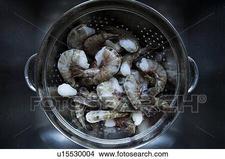 Frozen prawns in metal colander View Large Photo Image Picture - Frozen prawns in metal colander. Fotosearch