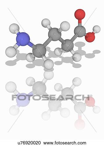 Stock Image - Gamma-aminobutyric acid (GABA) molecule. Fotosearch