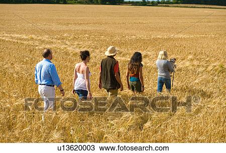Group of adults walking through field, rear view View Large Photo Image Stock Image - Group of adults walking through field, rear view. Fotosearch