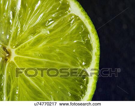 Halved green lime View Large Photo Image Stock Photo - Halved green lime. Fotosearch