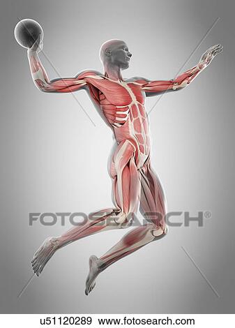 Handball player, illustration View Large Photo Image Stock Photo - Handball player, illustration. Fotosearch