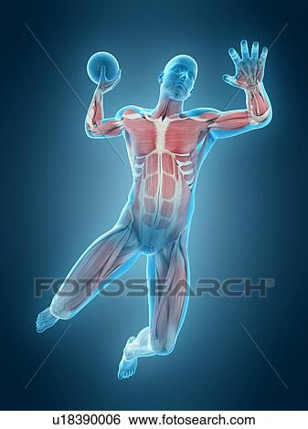 Handball player, illustration View Large Photo Image Stock Photograph - Handball player, illustration. Fotosearch