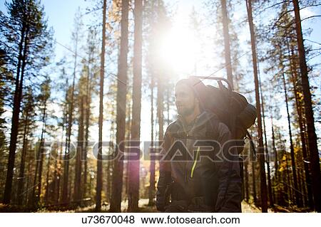 Stock Photo - Hiker among trees on sunny day, Keimiotunturi, Lapland, Finland. Fotosearch
