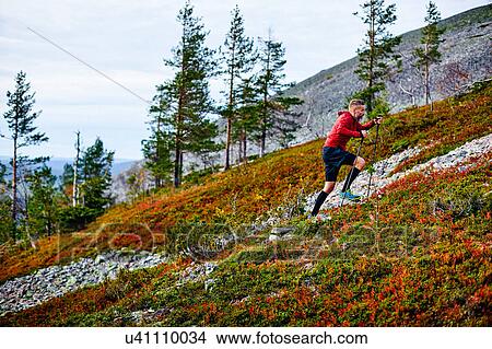 Picture - Hiker ascending steep hill, Kesankitunturi, Lapland, Finland. Fotosearch