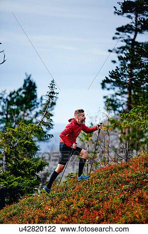 Stock Image - Hiker ascending steep hill, Kesankitunturi, Lapland, Finland. Fotosearch