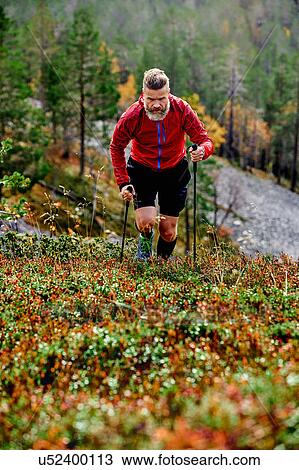 Stock Image - Hiker ascending steep hill, Kesankitunturi, Lapland, Finland. Fotosearch